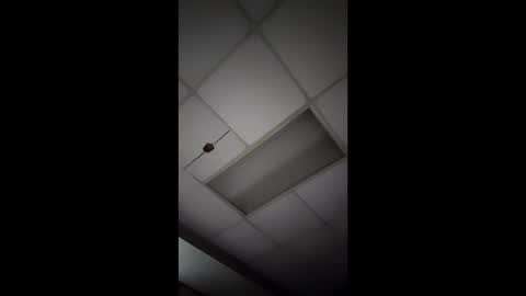 wonderbread online show from 01-14-26, 11:49