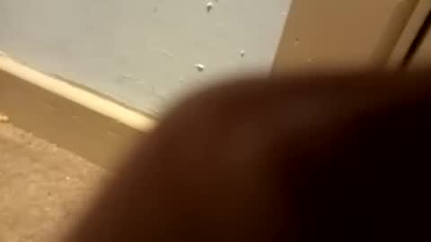 Snapshot of j434934 chatting on 01-05-26, 07:28 j434934 online show from 01-05-26, 07:28