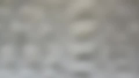 j727551 online show from 02-15-25, 07:28