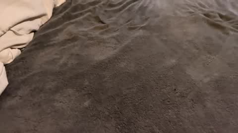 Snapshot of j_m12397 chatting on 02-27-26, 03:17 j_m12397 online show from 02-27-26, 03:17