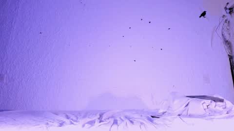 Snapshot of j_martony chatting on 11-05-25, 02:17 j_martony online show from 11-05-25, 02:17