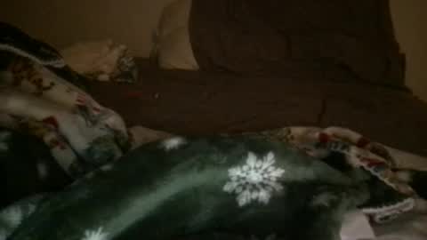 Snapshot of j_reyes24 chatting on 01-23-25, 06:45 j_reyes24 online show from 01-23-25, 06:45