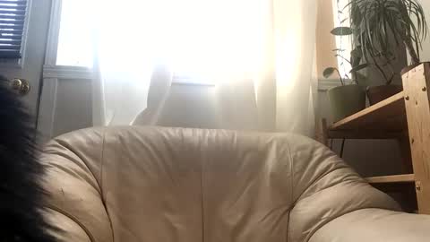 Snapshot of jacobmotes chatting on 02-24-26, 03:43 Jacob online show from 02-24-26, 03:43