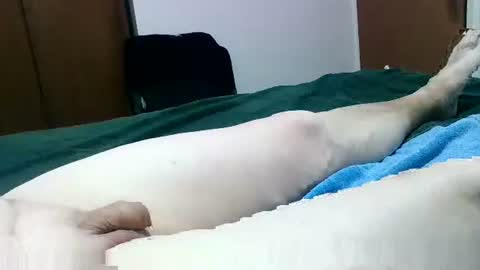 Jaks online show from 01-26-25, 09:29