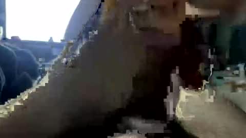 jalenwnut online show from 05-25-26, 04:29