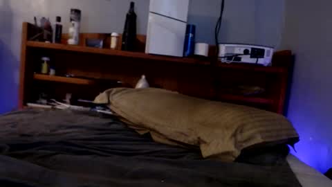 Snapshot of james30cup chatting on 09-14-25, 09:19 what you in too online show from 09-14-25, 09:19