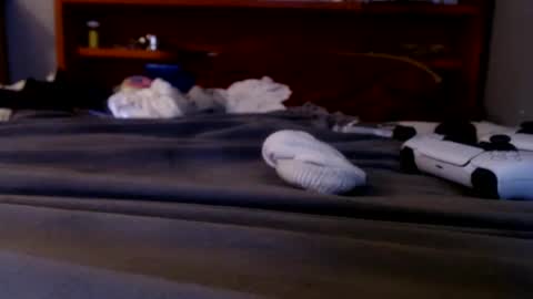 Snapshot of james30cup chatting on 09-20-25, 02:23 what you in too online show from 09-20-25, 02:23