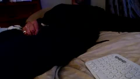 Snapshot of james30cup chatting on 12-02-25, 08:19 what you in too online show from 12-02-25, 08:19