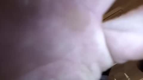 jamesloveridge901 online show from 04-02-26, 08:56