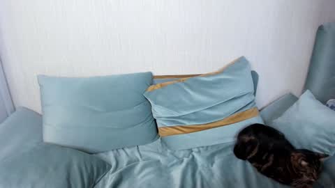 Jane online show from 01-25-25, 09:04