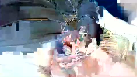 Snapshot of jani56 chatting on 04-15-26, 10:22 jani56 online show from 04-15-26, 10:22
