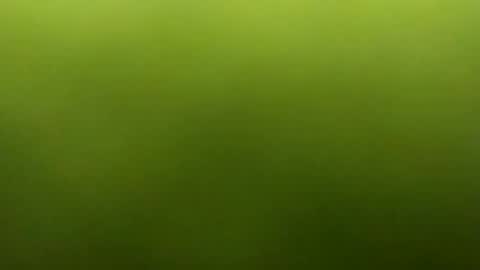 jarret8222 online show from 03-05-26, 09:27