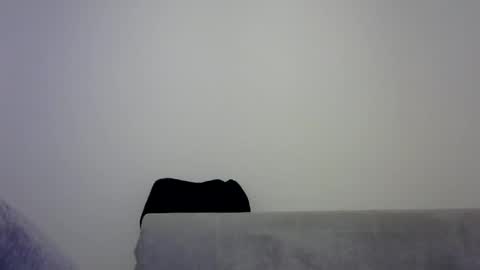 Snapshot of jaspal55 chatting on 11-09-25, 02:04 jaspal55 online show from 11-09-25, 02:04