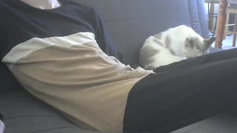 Snapshot of jasper_0_e23cm chatting on 09-21-25, 07:43 jasper 0 e23cm online show from 09-21-25, 07:43