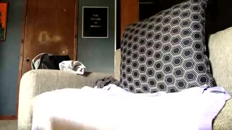 Jaws  online show from 09-10-25, 07:25