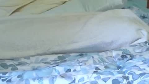 Snapshot of jaxlee1952 chatting on 07-27-26, 04:58 jaxman1952 online show from 07-27-26, 04:58