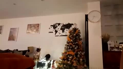 jaycat73 online show from 12-29-24, 01:34