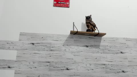 Snapshot of jaycreedd chatting on 02-22-25, 11:24 Jaycreedd online show from 02-22-25, 11:24