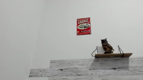 Snapshot of jaycreedd chatting on 09-29-25, 12:38 Jaycreedd online show from 09-29-25, 12:38