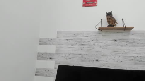 Snapshot of jaycreedd chatting on 11-02-25, 04:42 Jaycreedd online show from 11-02-25, 04:42