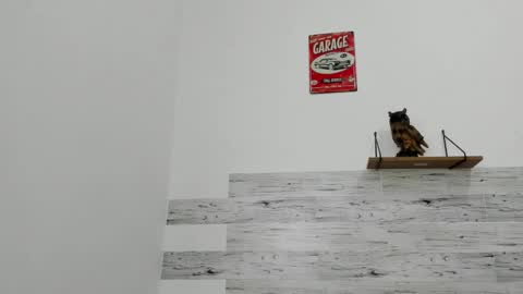 Snapshot of jaycreedd chatting on 11-22-25, 03:22 Jaycreedd online show from 11-22-25, 03:22