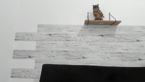 Snapshot of jaycreedd chatting on 11-28-25, 04:53 Jaycreedd online show from 11-28-25, 04:53