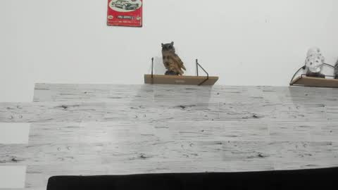 Jaycreedd online show from 03-04-26, 05:13