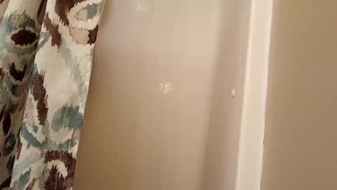 Snapshot of jaywulf22 chatting on 11-04-25, 04:33 jaywulf22 online show from 11-04-25, 04:33