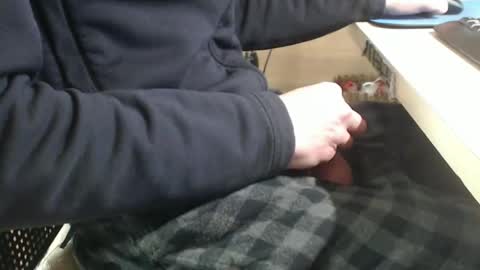 Snapshot of jc200000 chatting on 01-29-25, 06:07 jc200000 online show from 01-29-25, 06:07