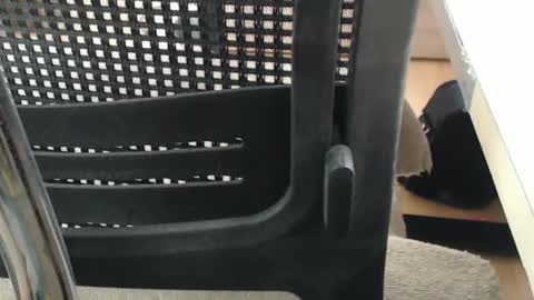 jc200000 online show from 04-16-26, 05:25