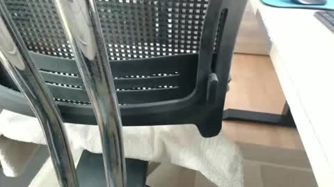 jc200000 online show from 04-21-26, 05:28