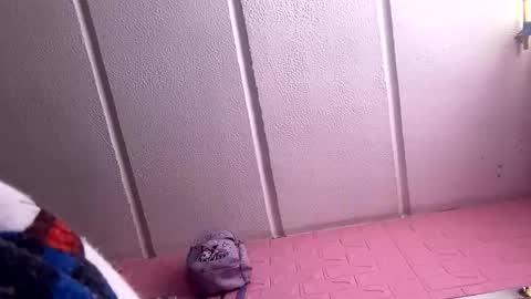 jdsj1a873165 online show from 03-18-26, 03:04