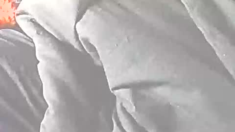 jedishy925585 online show from 05-04-26, 06:37