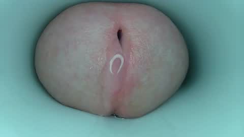 Snapshot of jeffrodgerschaturbat chatting on 03-11-26, 03:56 jeffrodgerschaturbat online show from 03-11-26, 03:56