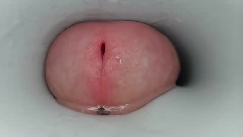 Snapshot of jeffrodgerschaturbat chatting on 03-17-26, 03:44 jeffrodgerschaturbat online show from 03-17-26, 03:44