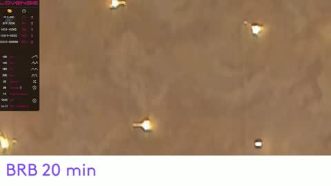 EvaSileZ online show from 10-17-25, 02:52