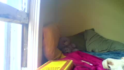 Jenn -  come to my onlyfans online show from 04-17-26, 03:04