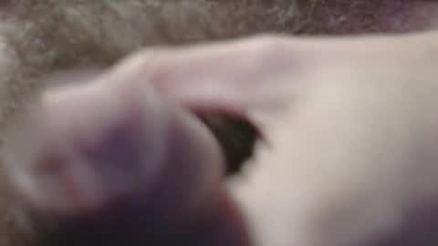 jerkingtyce online show from 05-03-26, 03:12