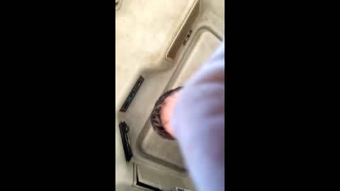 jesaj online show from 11-26-25, 12:50