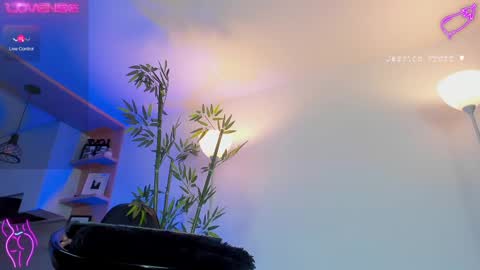  Jessica Pratt  IG jessicaxpratt online show from 02-25-25, 11:11