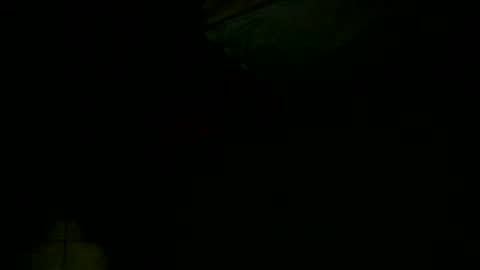 dovedianna online show from 12-16-24, 04:02