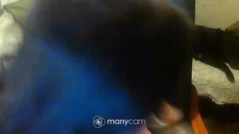 jessjess4you online show from 02-15-25, 11:47