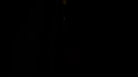 Snapshot of jestersquid89 chatting on 09-13-25, 10:31 jestersquid89 online show from 09-13-25, 10:31