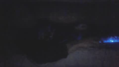 jetjon762844 online show from 02-09-26, 10:41