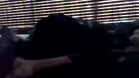 jf19861119 online show from 10-05-25, 05:33