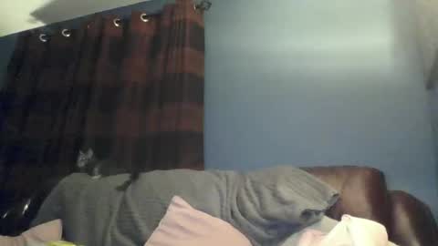 Snapshot of jilfyj chatting on 03-15-26, 12:49 jilfyj online show from 03-15-26, 12:49
