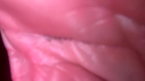 jim2233442211 online show from 11-04-25, 06:12