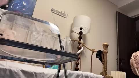 Snapshot of jingyan666 chatting on 02-04-26, 02:45 meng meng online show from 02-04-26, 02:45