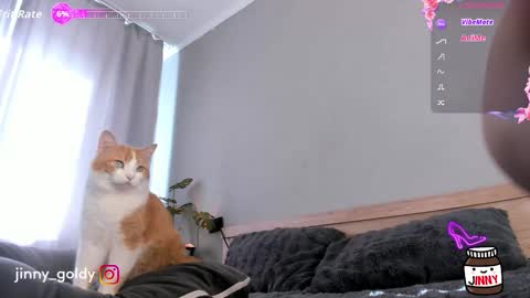 MY NEW INSTA jinny goldy online show from 02-15-26, 07:51