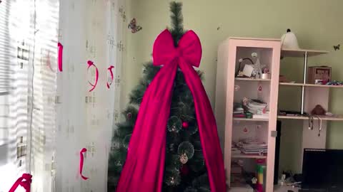 Jinny online show from 12-14-25, 09:03